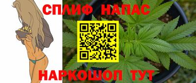 МДПВ Краснознаменск