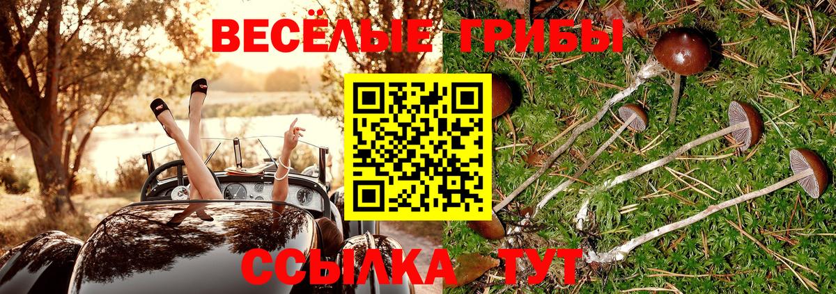 Галлюциногенные грибы GOLDEN TEACHER Канаш